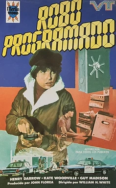 Robo Programado