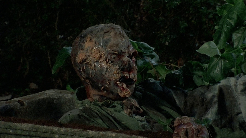 Imagen de Masacre Zombie