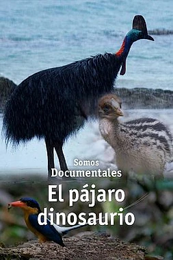 El Pájaro Dinosaurio