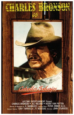 poster of movie Caballos Salvajes