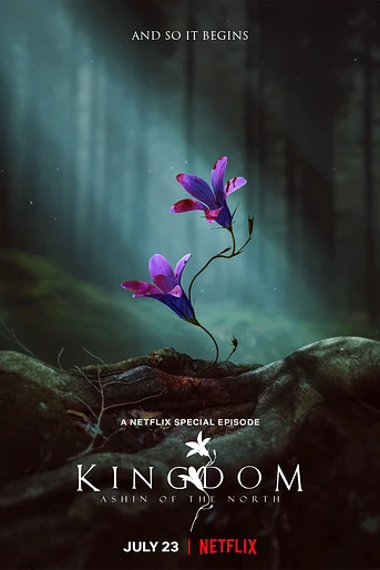 Poster de Kingdom: La Historia de Ashin