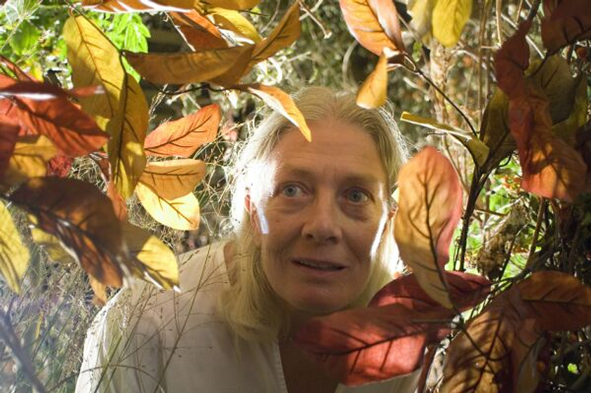 Vanessa Redgrave en El Atardecer