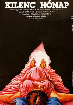 poster of movie Nueve meses