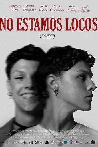 Poster de No estamos Locos