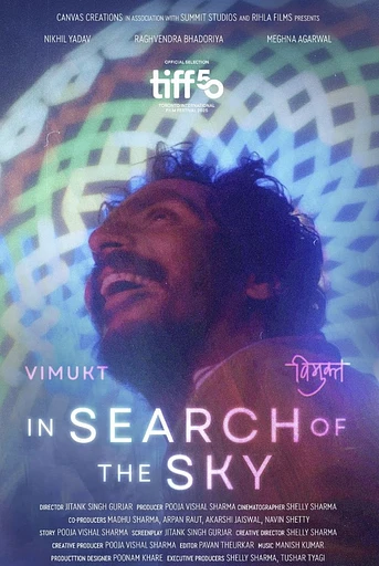 Poster de In Search of The Sky