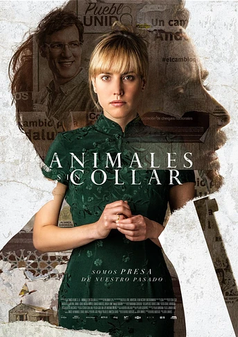 Poster de Animales sin Collar