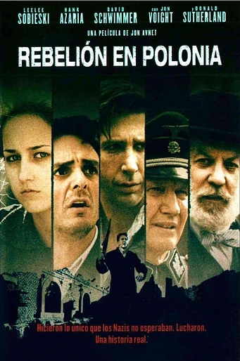Poster de Rebelión en Polonia
