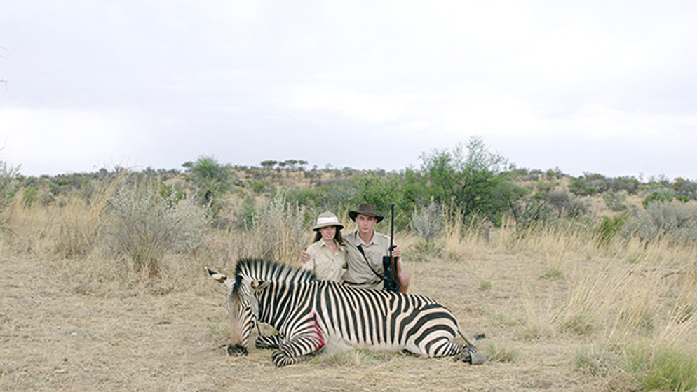 Imagen de Safari