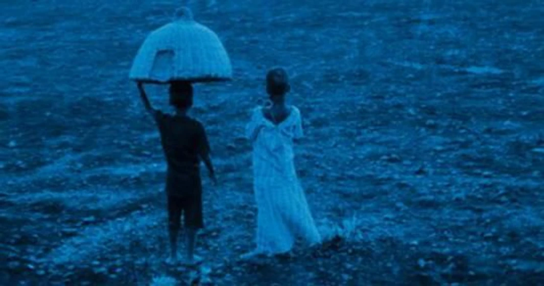 Imagen de blue-bird