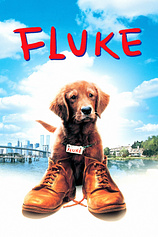 poster of movie Mi Amigo Fluke