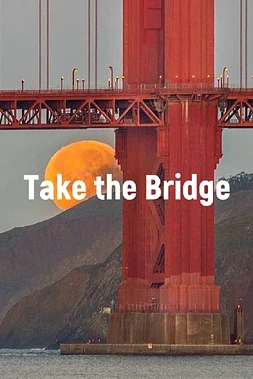 poster of movie Take The Bridge