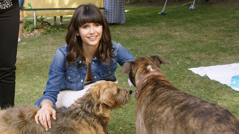 Nina Dobrev en I Love Dogs