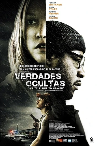 Poster de Verdades ocultas
