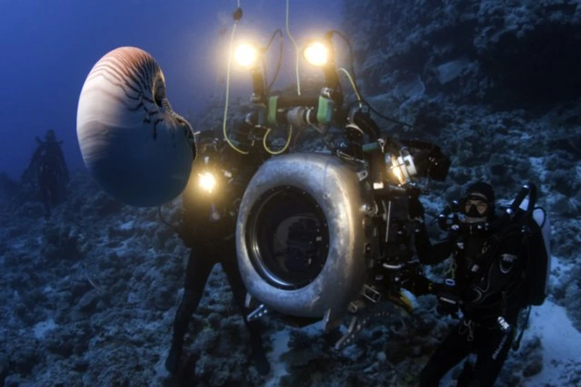 Imagen de Under the Sea 3D