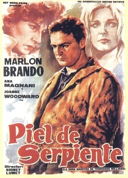 poster of movie Piel de Serpiente