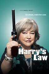 poster for the season 1 of Harry's Law