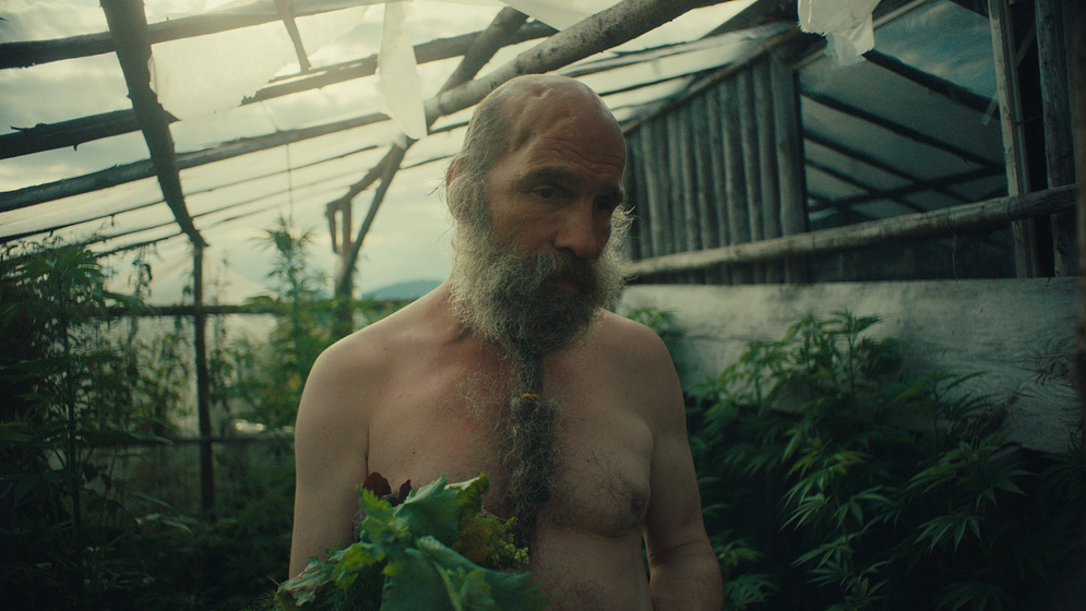 Imagen de Better go Mad in the Wild