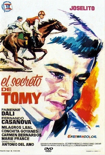 Poster de El Secreto de Tomy