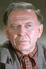 picture of actor Pavel Volkov