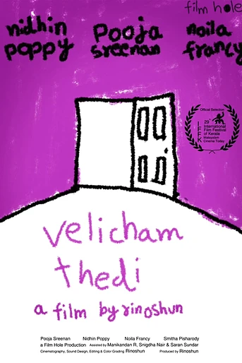 Poster de In Search of the Light