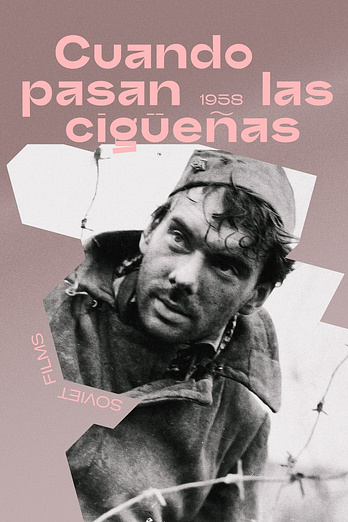 poster of content Cuando pasan las cigüeñas