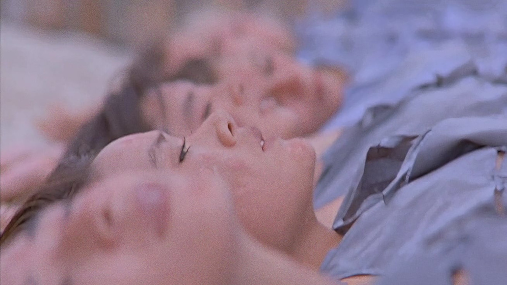 Imagen de the-bamboo-house-of-dolls