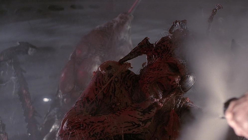 Imagen de leprechaun-4-en-el-espacio