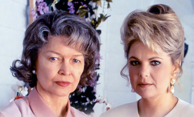 Imagen de Mi Hijo, El Casamentero