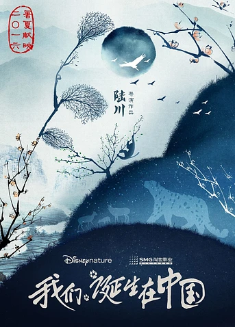 Poster de Born in China