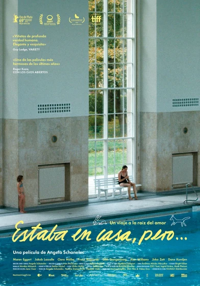 Imagen de estaba-en-casa-pero (Cartel español)