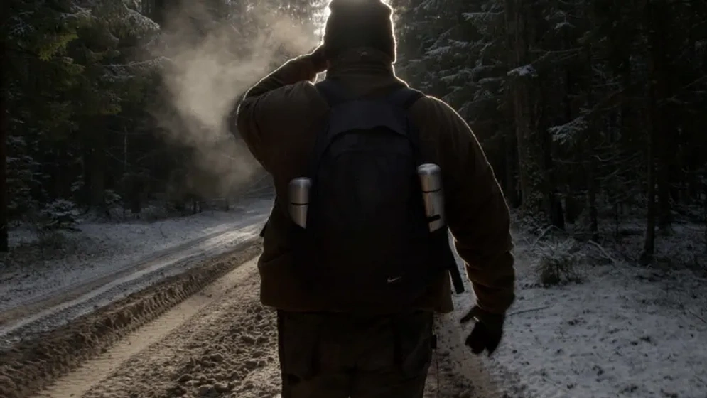 Imagen de the-guest-2024