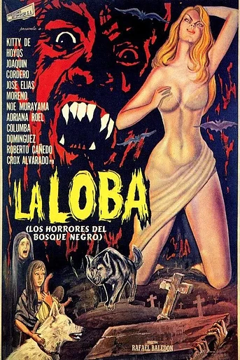 Poster de La Loba