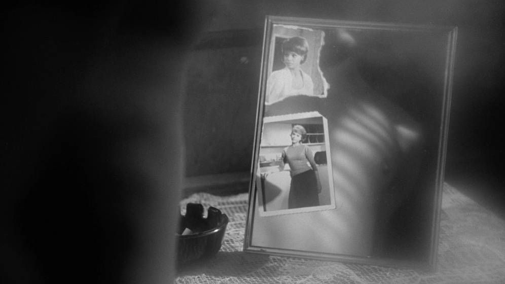 Imagen de who-killed-teddy-bear