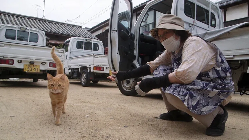 Imagen de The Cats of Gokogu Shrine