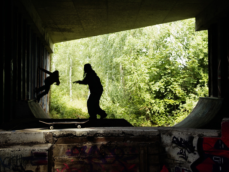 Imagen de Ollie