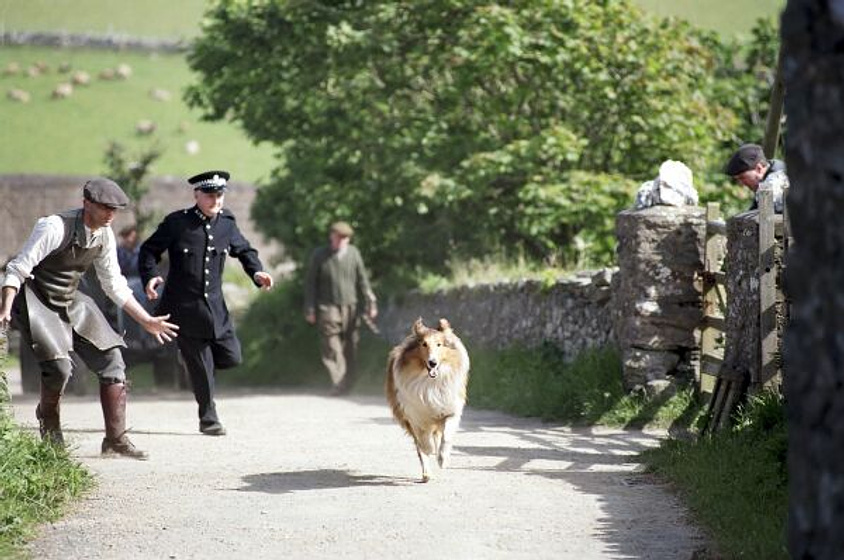 still of movie Lassie