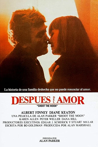 Poster de Después del Amor