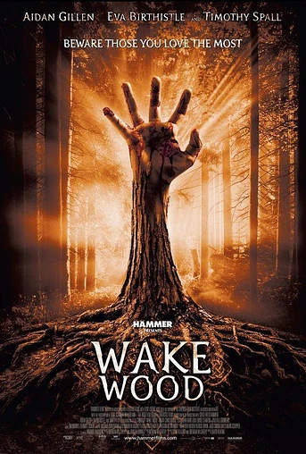 Poster de Wake Wood