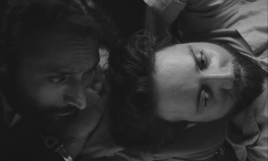 Imagen de birds-in-the-dark