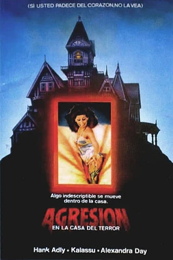 poster of movie Agresión en la Casa del Terror