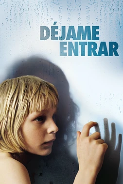 poster of movie Déjame Entrar