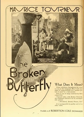Poster de The Broken Butterfly