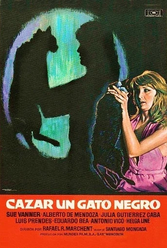Poster de Cazar un Gato Negro