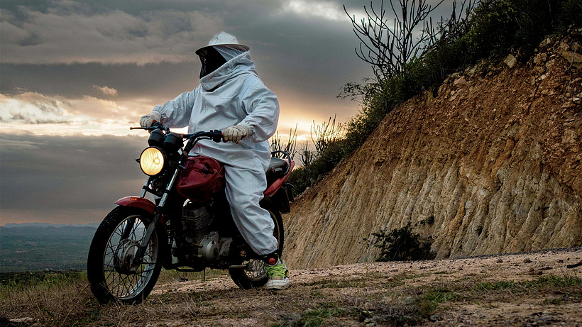 Imagen de Yellow Cake