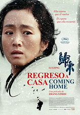 poster of movie Regreso a casa