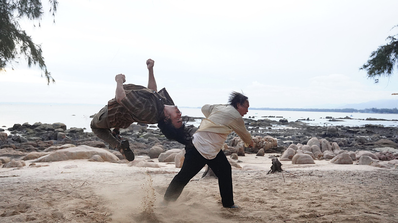 Imagen de Fish, Fists and Ambergris