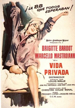 poster of movie Una Vida privada