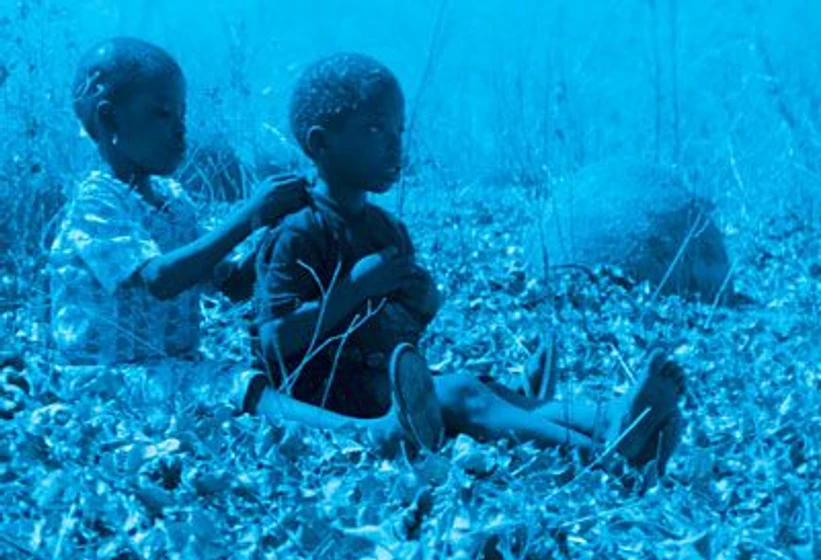 Imagen de blue-bird
