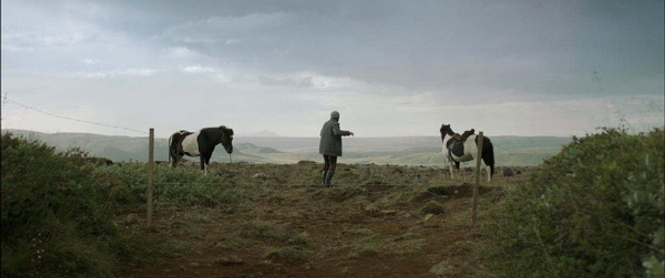 Imagen de De caballos y hombres