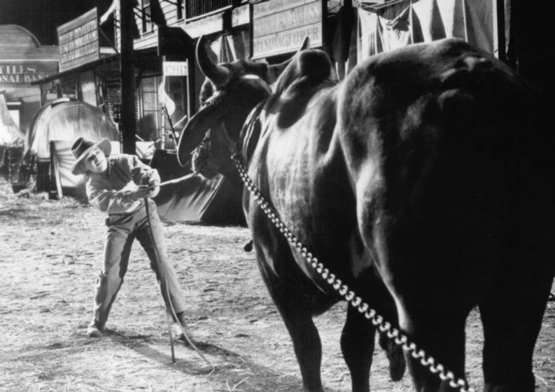 Imagen de un-cuento-el-mito-de-pecos-bill